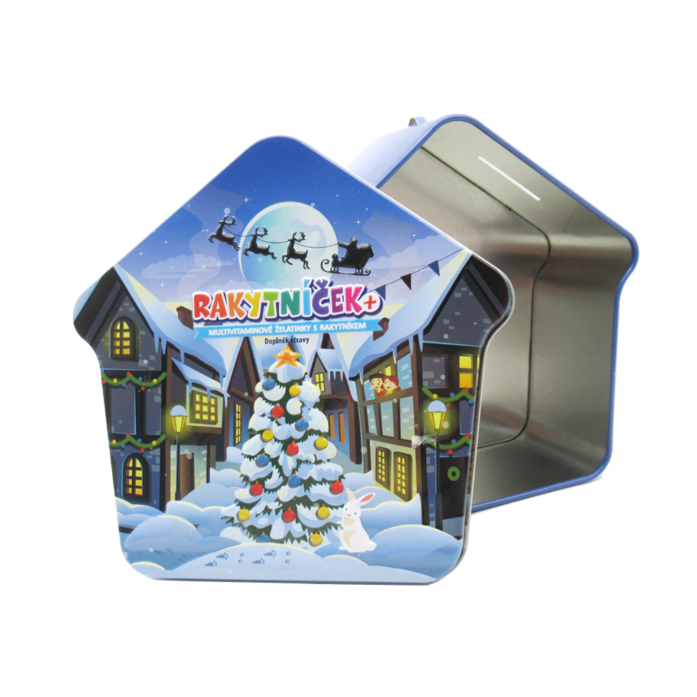 House shape Tin box